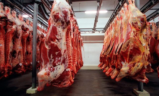 Exportação de carne bovina in natura bate recorde em agosto